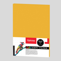 Farebn papier A4 80g 100 listov zlat