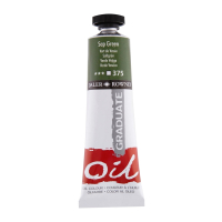 Olejov� farba D&R Graduate 38ml, Sap Green 375