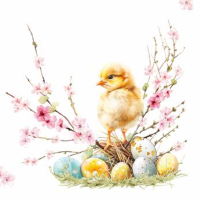 Papierov� obr�sky TI-FLAIR 33x33cm 3 vrstvov� 3-82105''H