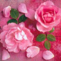 Papierov� obr�sky TI-FLAIR 33x33cm 3 vrstvov� 3-61355RO