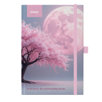 Z�pisn�k B5 linkovan� 96listov� Awaken