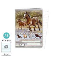 Zo�it A5 Wild Horses 40 listov� 1592-0414