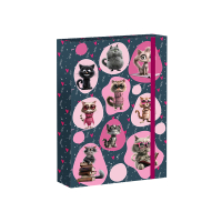 kolsk box A5 Cat Life REYBAG