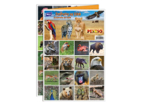 Pexeso Zvierat zo ZOO