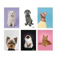 Zo�it A5 54 listov� Friends 63323