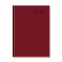 Manager Dir bordov PG 2026
