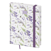 Dir B6 denn VARIO Lavender 2026