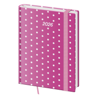 Dir VARIO B6 denn Pink 2026