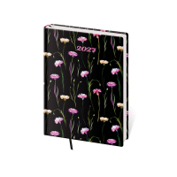 Di�r VARIO LYRA B6 denn� Blossom 2027