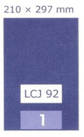 ETIKETY UNI 210x297  BIELE DATA LCJ 92, 100 hrkov, 100 ks