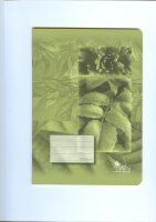 Zoit 525 tvorekov 20listov EKO NOTES