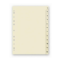 ROZRAOVA KARTNOV FORMT A4 1 - 12     199.00